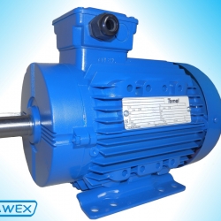 Silnik apowy - 3kW